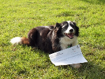 thumbnail Meg with her kiwi avoidance training certificate-797
